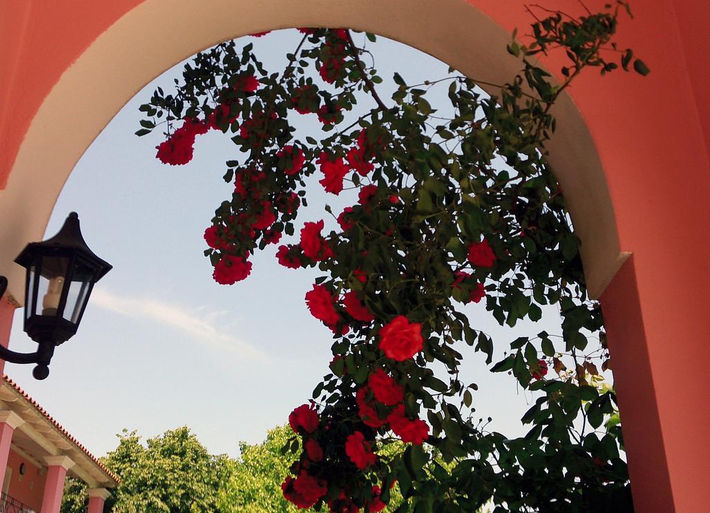 Hotel Elena Ermones Zewnętrze zdjęcie